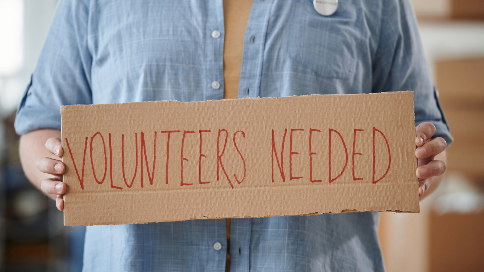 Volunteer at the 2026 Horsham Show
